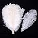 Sowder 12-14inch(30-35cm) Ostrich Feathers Plume for Wedding Centerpieces Home Decoration Pack of 10pcs(White)