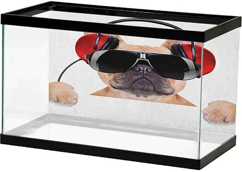 Amazon Com Aurauiora Wallpaper Fish Tank Popstar Party Dj