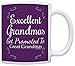 Great Grandma Gifts Excellent Grandmas Get Promoted to Great Grandma Gift 11oz Ceramic Coffee Mug with Handle