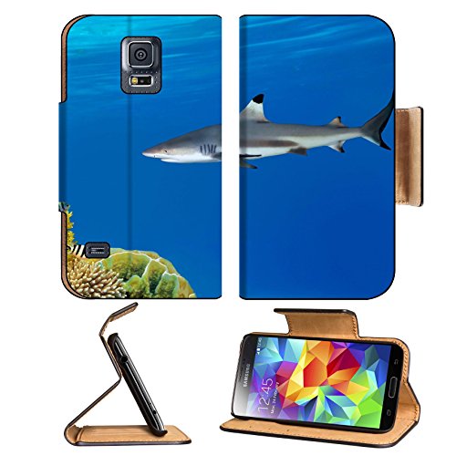 Samsung Galaxy S5 Grey Reef Shark swims IMAGE 10398286 by MSD Customized Premium Deluxe Pu Leather generation Accessories HD Wifi Luxury Protector