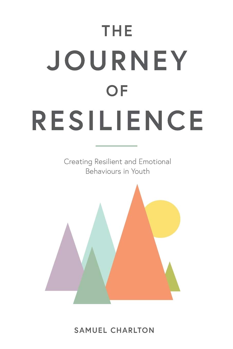 The Journey Of Resilience Creating Resilient And Emotional Behaviours In Youth Charlton Samuel 9781922337672 Amazon Com Books