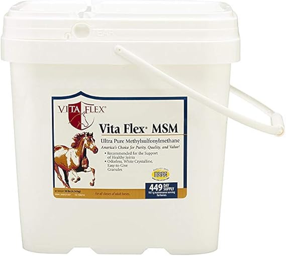 9 Best MSM Supplements For Horses Best Horse Rider