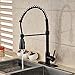 Rozin Single Hole Pull Down Sprayer Kitchen Sink Faucet Deck Mount Mixer Tap with 8