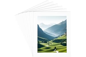 SOFPLATE 15Pcs 10x12 Photo Mat Picture Frame Matting Paper Pre Cut Hollow Rectangle Display Show Core Bevel Album Backing Pac