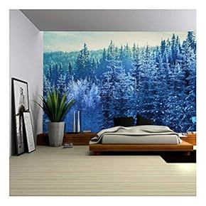 an Aerial View of a Winter Time Mountain - Wall Mural, Removable Sticker, Home Decor - 66x96 inches