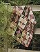 Beyond the Battlefield: 14 Scrappy Civil War Quilts