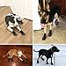 Petacc Dog Boots Water Resistant Dog Shoes for Large Dogs and Black Labrador 4 Pcs Size 7, Black