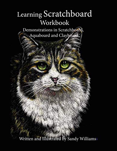 Learning Scratchboard Workbook: Demonstrations in Scratchboard, Aquaboard and Clayboard