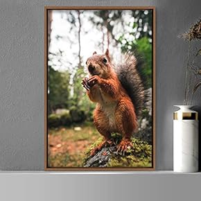 signwin Framed Canvas Wall Art Squirrel Animals Fun...