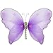 The Butterfly Grove Isabella Butterfly Decoration - Medium 11