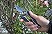 MLTOOLS Bypass Pruning Shears Compact Heavy Duty & Ultra Sharp for Gardening – 6.7 Inch Stainless-Steel Garden Shears – For both Left & Right Handers – Ergonomic Trimming Shears – P8245