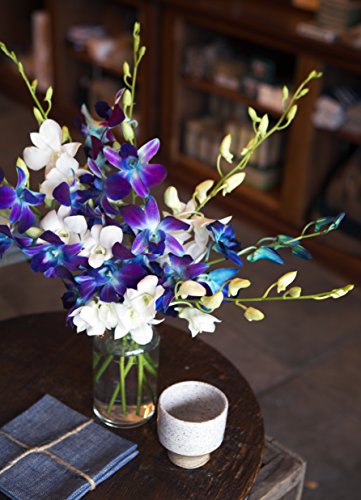Starry Night in the Tropics: Bouquet of 5 Blue Dendrobium Orchids & 5 White Dendrobium Orchids from Thailand with Free Vase Included - Thumbnail 3