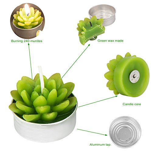Cactus Tealight Candles, AMASKY Handmade Delicate Succulent Cactus Candles for Valentine's day Birthday Party Wedding Spa Home Decoration, 12 Pcs in Pack. (12)