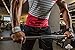 Bear Grips Neoprene Padded Lifting Straps, non-slip, extra grip, 5mm padded wrist straps for dead lifts, weight lifting, powerlifting (colors: black & pink, one-size, pairs: two straps per pack)
