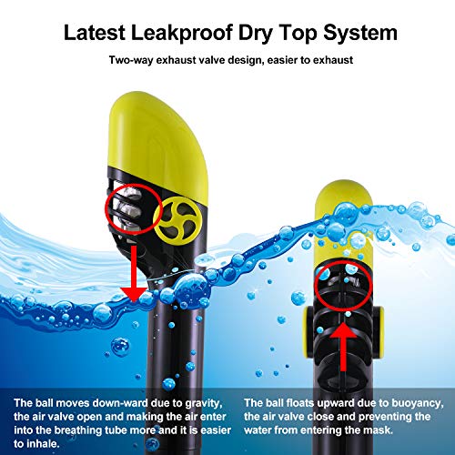 Full Face Snorkel Mask, 2019 Upgraded Snorkeling Mask with Newest Breathing and Dry Top System, Foldable 180 Degree View Dive Mask with Camera Mount and Earplug, Anti-Leak Anti-Fog for Adults Kids
