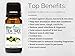 BioFinest Tea Tree Oil - 100% Pure Tea Tree Essential Oil - Therapeutic Grade - Australia Premium Quality - Best For Aromatherapy, Acne & Skin Tag Removal - Gift and Travel Packaging (10ml)