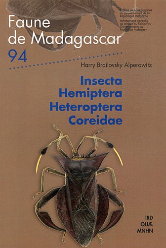 Insecta Hemiptera Heteroptera Coreidae
