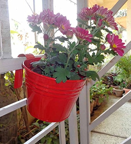 First Smart Deal Railing Bucket Small (Pack of 1) - Red