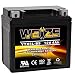Weize YTX5L-BS High Performance - Maintenance Free - Sealed AGM Motorcycle CTX5L Battery Replacement For Honda YUASA Yamaha ETX5L BS Batteries primary