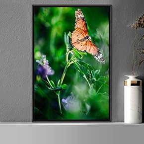 signwin Framed Canvas Wall Art Butterfly Expressive Farmhouse/Country...