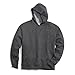 Champion Men's Hoodie, Fleece Striped Sweatshirt for Men (Reg. or Big & Tall)