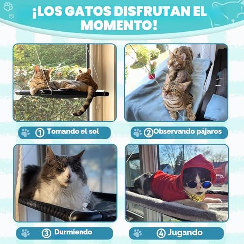 Dracarys Cat Hammock Window | for Large Cats up to 20 kg | Reinforced Hammock with Strong Suction Cup | for Sunbathing, Pet Bed | for Large Windows