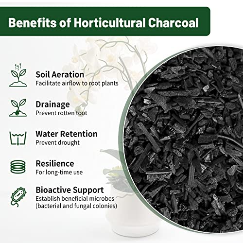 Horticultural Charcoal 1.5QT for Terrariums Supplies Plants Potting Soil Orchids Indoor Outdoor Gardening Moisture, Pack of 1 (Promo Code:20IFMZ18)