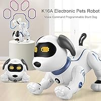 CHSSQ Electronic Animal Pets Robot Dog Voice Remote Control Toys Music Song Toy for Kids Toys Birthday Gift