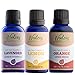 Woolzies Essential Oils Gift Set: Lavender, Lemon and Sweet Orange Kit | 100% Pure, Organic, Therapeutic Grade, Aromatherapy Essential Oils for Diffuser | Set of 3-1 oz Oils