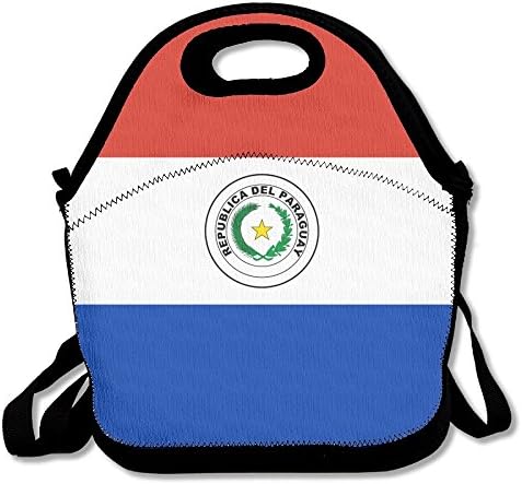 Paraguay Flag Cute Lunch Bag Insulated Lunch Tote Bags Bento Cooler Bag