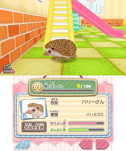 かわいいペットとくらそう わんニャン ミニミニアニマル 予約 最安値情報 3ds 種類混在で3匹まで同時に飼える 夢の飼い主体験 Daystar