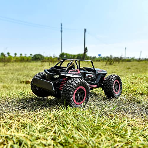 BEZGAR TB202 Toy Grade 120 Scale Remote Control Car2WD High Speed 20