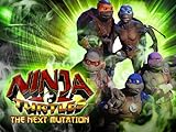 Ninja Turtles: The Next Mutation