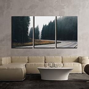 Tall Trees Along The Highway on a Foggy...