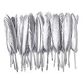 50pcs Gold & Silver Feathers 4-6 inch Natural Feather for a Variety of Crafts and Apparel (Silver）