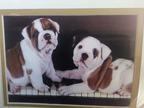 Doggy Duet
