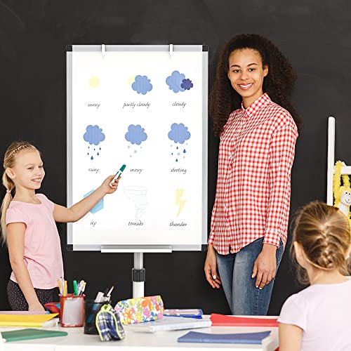 VIZ-PRO Mobile Whiteboard