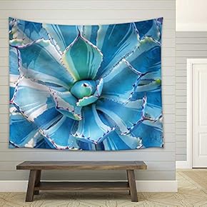 Sharp Pointed Agave Plant Leaves - Fabric Wall Tapestry Home Decor - 51x60 inches