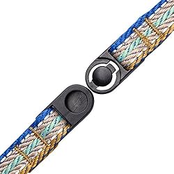 Blueberry Pet 3M Reflective Multi-colored Stripe