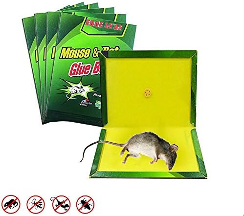 ZOORE Rat/Mouse/Mice/Insect/Lizard/Spider/Glue Trap, Pest Catch Experts. Super Sticky Board Contains Scent Lure,Professional Indoor Outdoor Traps. Perfect Use for any Place