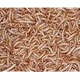 10,000 Live Mealworms, Reptile, Birds, Chickens, Fish Food (large)