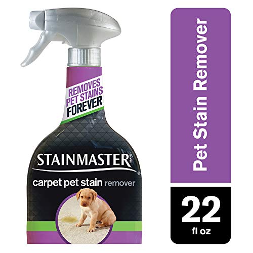 1 STAINMASTER+Carpet+Pet+Stain+Remover