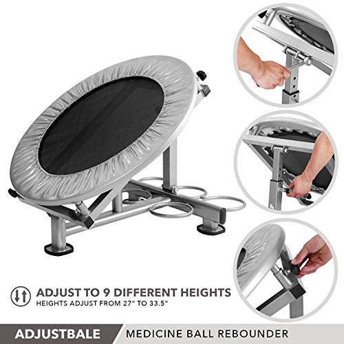 Medicine Ball Rebounder By Day 1 Fitness, Adjustable, Holdsup To 5