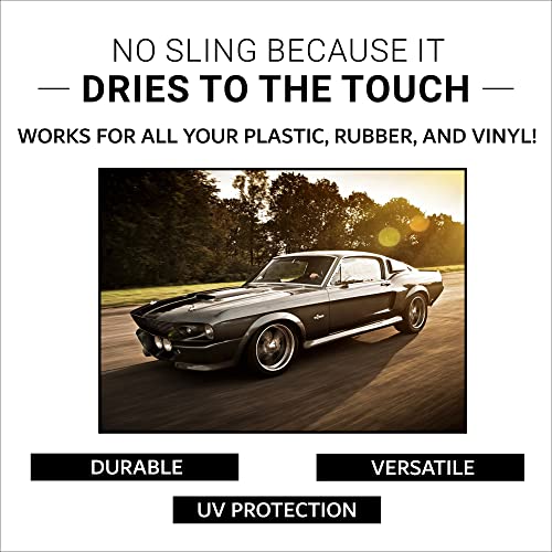 CAR GUYS Tire Shine Spray The Perfect Shine Durable and User
