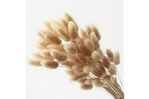 EEAIVNM 60PCS Rabbit Tail Grass Dried Flowers Dried Natural Floral Arrangement Bunch Decoration Dried Grass,Eternal Flower Dried Grass for Home,Wedding,Party,Flower Bouquet,Photo Props Decor (Natural Color)
