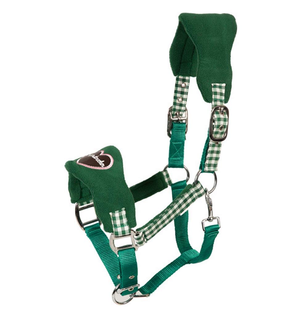 PFIFF Wiesn 102433-205-Full Plastic Headcollar Warm Blood Horses Large Green/Pink