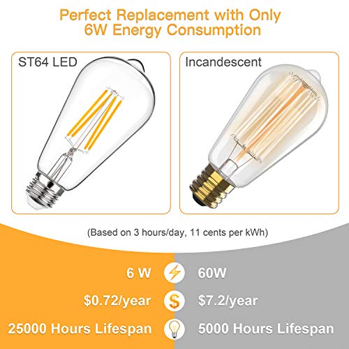 Vintage LED Edison Bulbs 6W, 60W Equivalent, Non-Dimmable 2700K Warm White, High Brightness E26 LED Light Bulb, ST64 LED Filament Light Bulb (10 Pack)