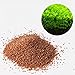 Aquarium Plants Seeds Aquatic Double Leaf Carpet Water Grass, for Fish Tank Rock Lawn Garden Decor