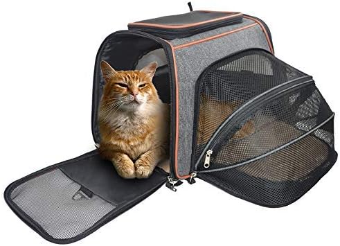 soft sided cat carrier airline approved