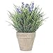 Velener Artificial Flowers Provence Lavender Arrangements in Pots for Home Decor (Purple, Green)